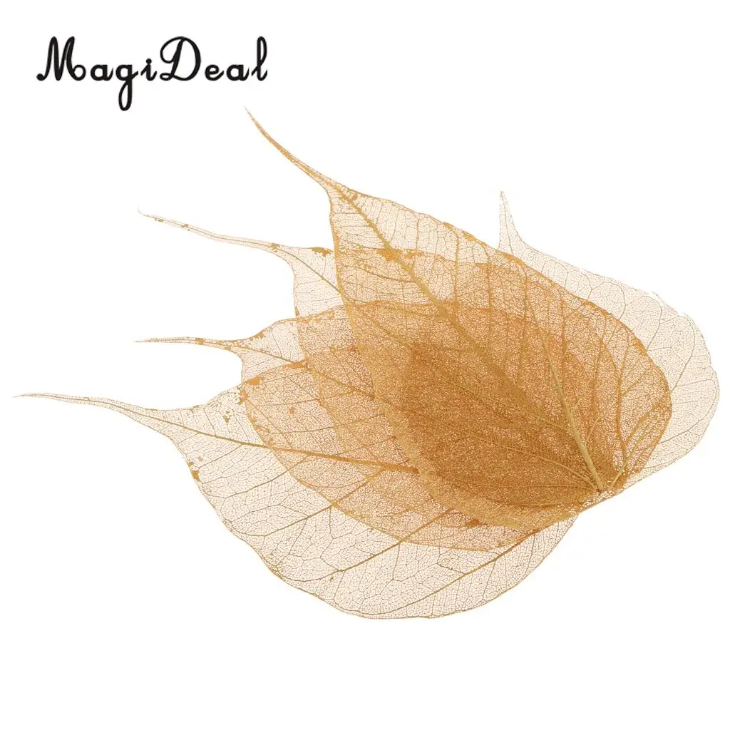 5pcs Natural Pressed Dried Linden Leaves Bodhi Leaf for DIY Arts and Crafts