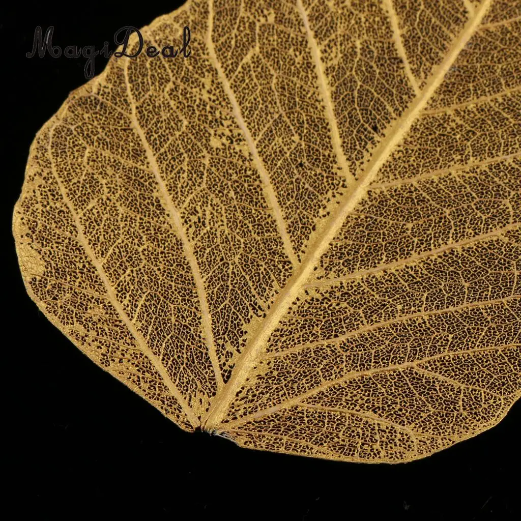 5pcs Natural Pressed Dried Linden Leaves Bodhi Leaf for DIY Arts and Crafts