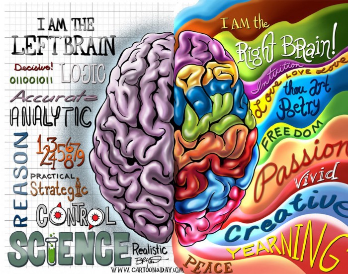Правое и левое полушария мозга