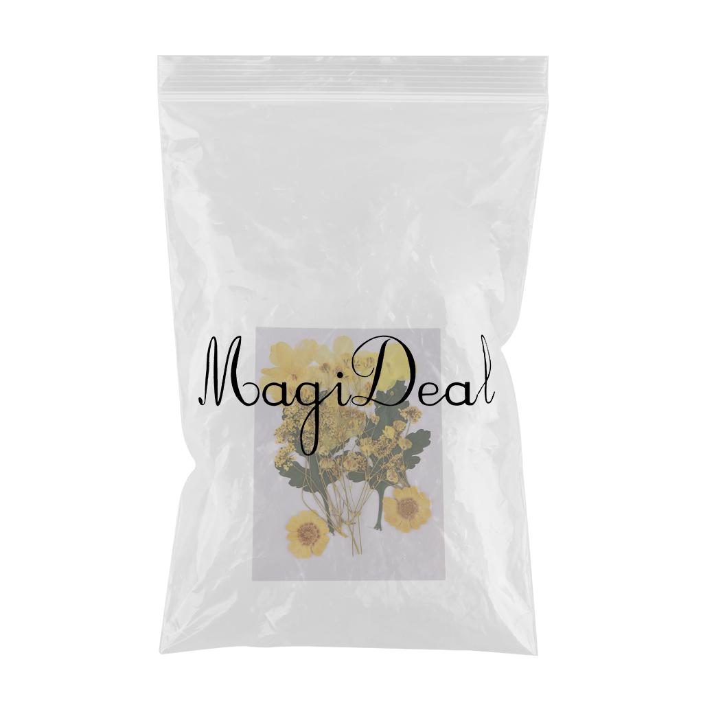 1 Bag Natural Press Leaves Pressed Real Dried Flowers Dry Leaves for DIY Scrapbooking Arts Crafts Bookmark Card Making Materials