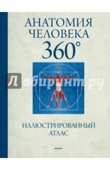 Джейми Роубак - Анатомия человека 360°. Иллюстрированный атлас обложка книги