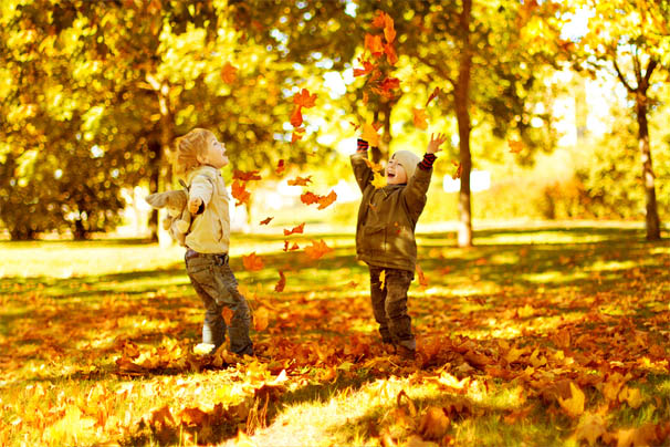 Осень картинки для детей и малышей - прикольные и красивые 2