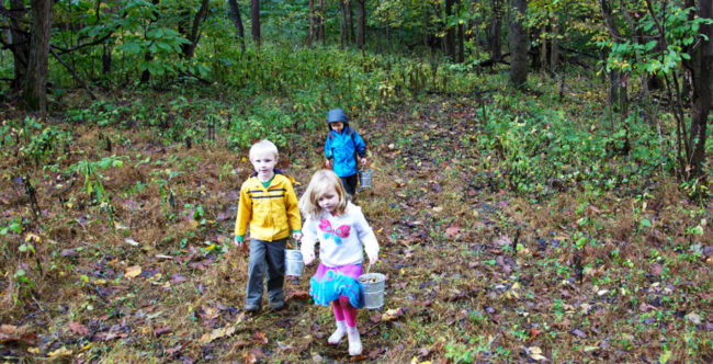 Дети в лесу собирают ягоды в ведёрко