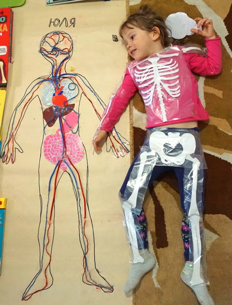 Джейми Роубак - Анатомия человека 360°. Иллюстрированный атлас обложка книги