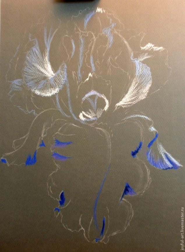 Рисуем голубой ирис масляной пастелью, фото № 4