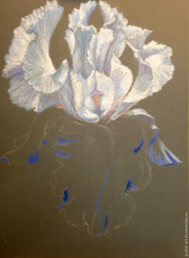 Рисуем голубой ирис масляной пастелью, фото № 6