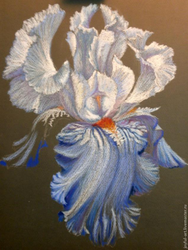 Рисуем голубой ирис масляной пастелью, фото № 7