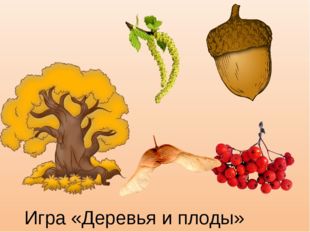 Игра «Деревья и плоды» 