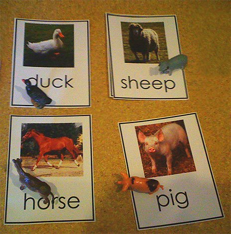 Если карточки с изображениями животных в играх комбинировать с фигурками, то английские слова будут запоминаться еще лучше.