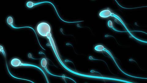 сколько нужно спермы для зачатия