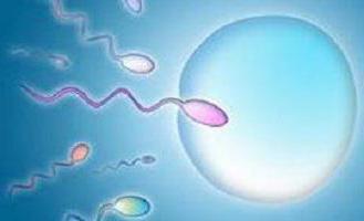 сколько нужно спермы чтобы женщина забеременела 