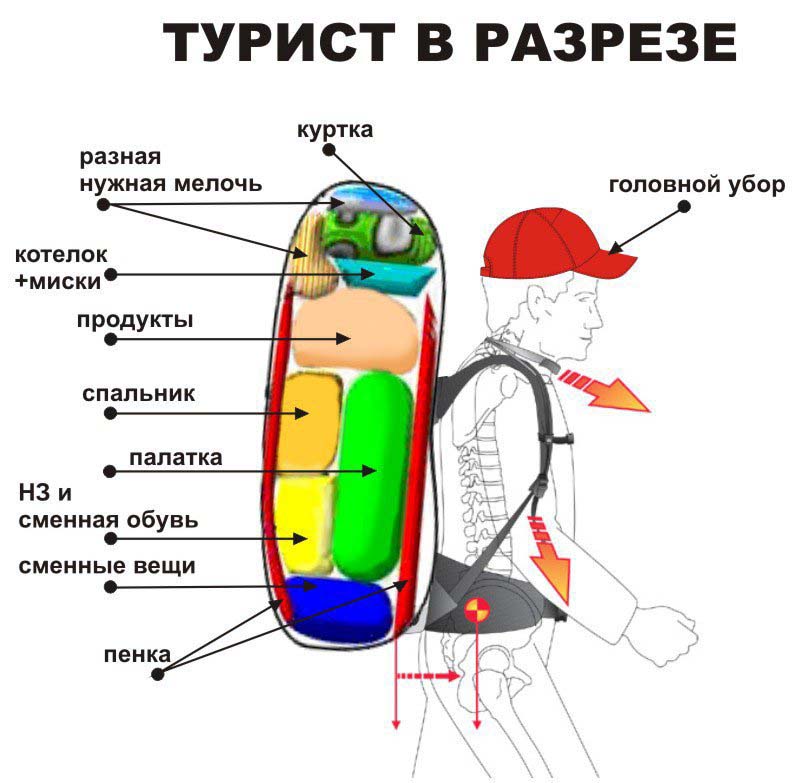 турист в разрезе