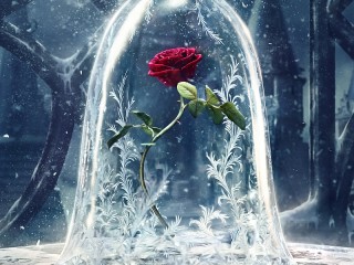 Собирать пазл Волшебная роза онлайн
