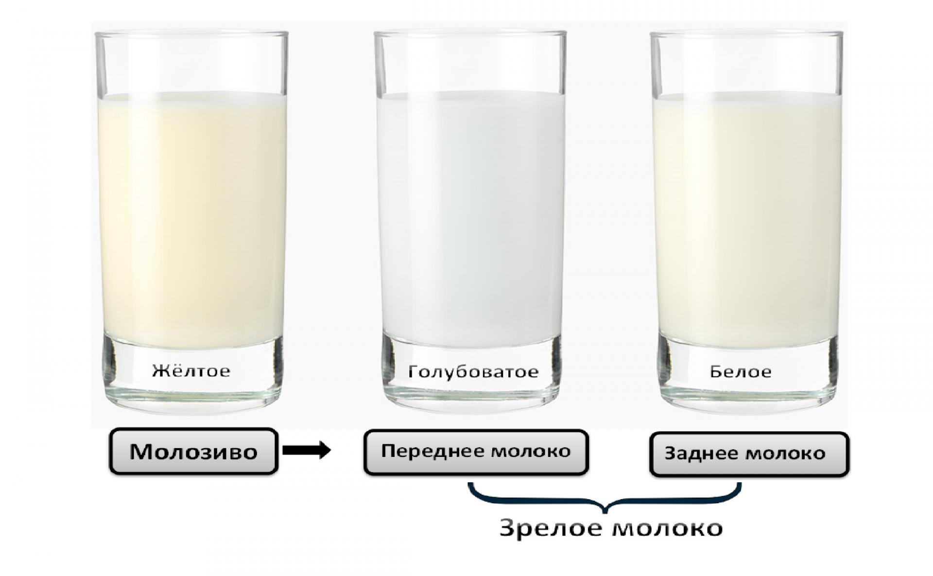 Внешнее различие видов грудного молока