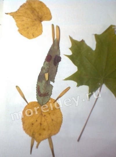 картины из листьев для детей