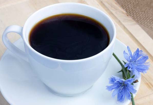 Цикорий, как альтернатива кофе