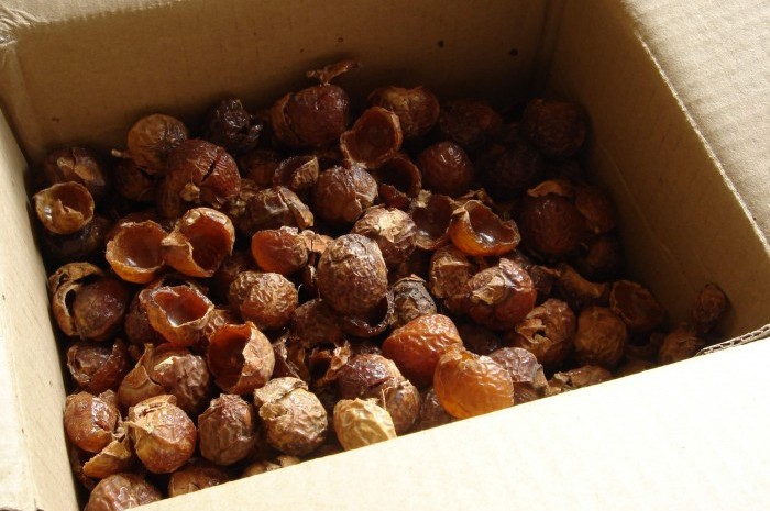 soap nuts 4 (1)