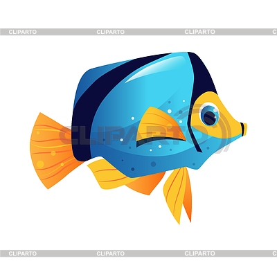 Картинки рыбки для детей на белом фоне (8)