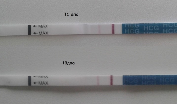 Тест на беременность после ЭКО