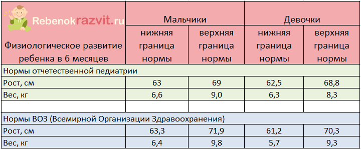 Норма развития в 6 месяцев