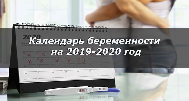Календарь беременности для 2019-2020 года