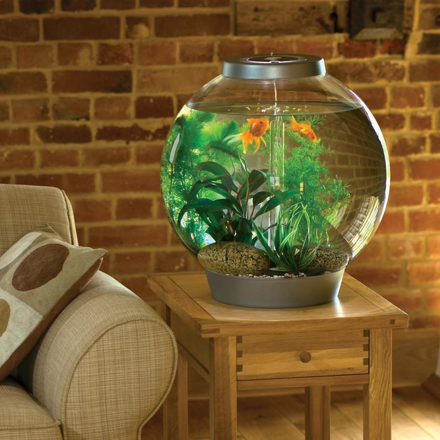 Круглый аквариум в интерьере гостиной