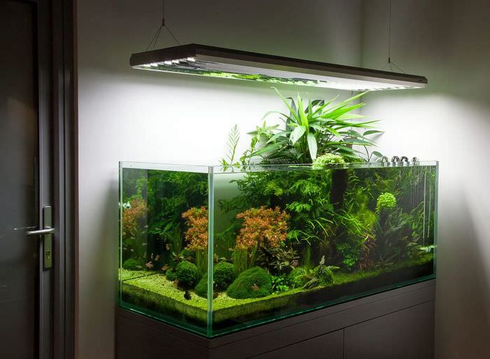 Светодиодная подсветка над прямоугольным аквариумом