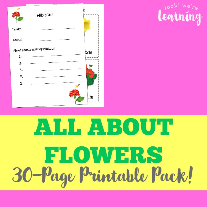 All About Flowers Printables for Kids - Look! We