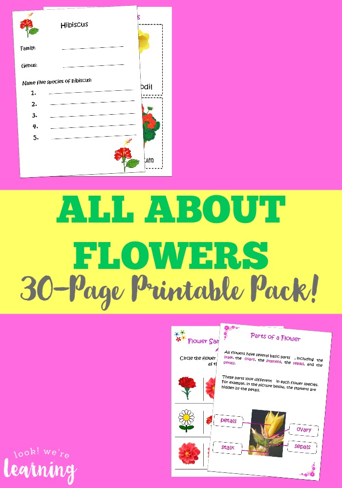 These flower printables for kids feature science, math, and writing activities for kids! Perfect for spring learning!