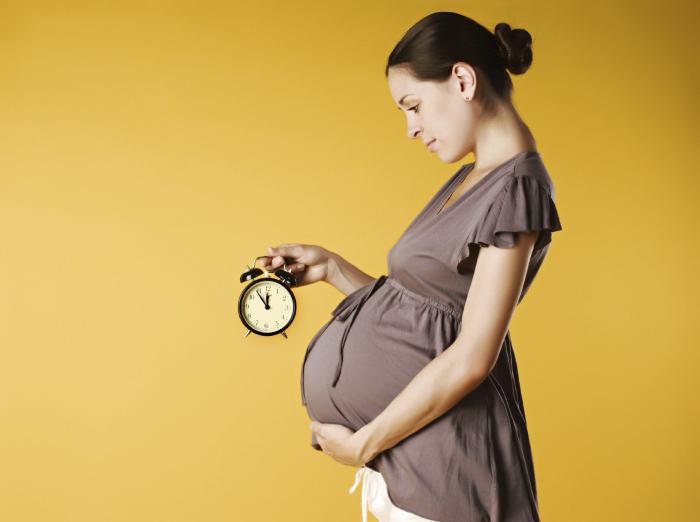 правильный рацион питания для беременных