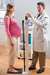 норма прибавки веса при беременности 