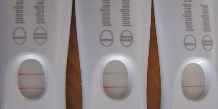 тест на беременность вторая полоска еле видна 